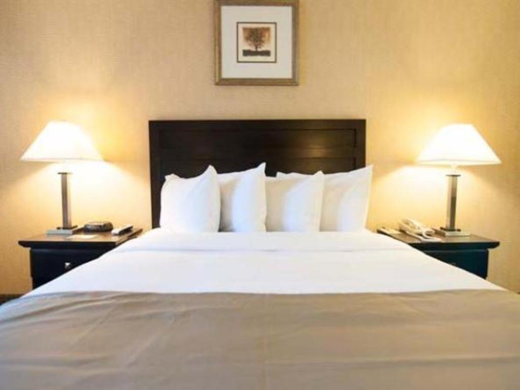 Solaire Angeles Los Angeles